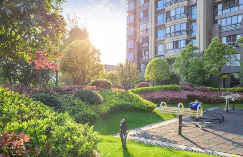 landscaping and design services