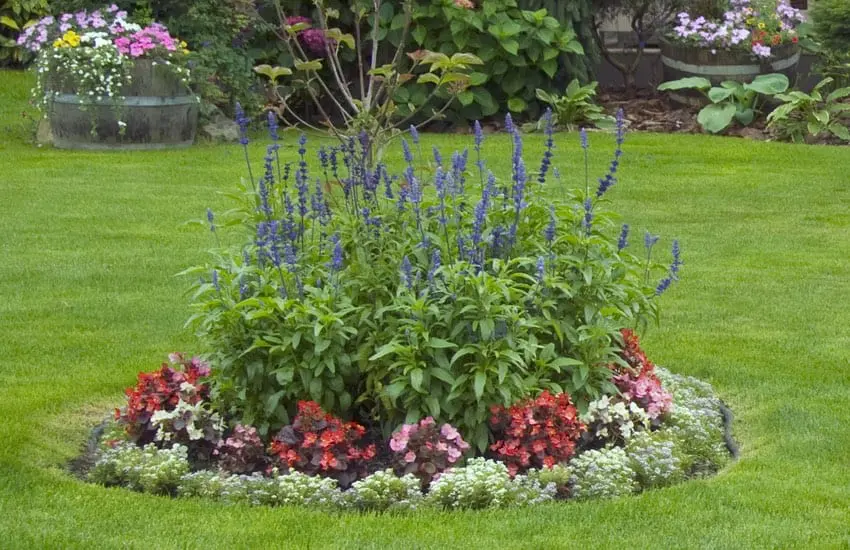 landscaping and design services