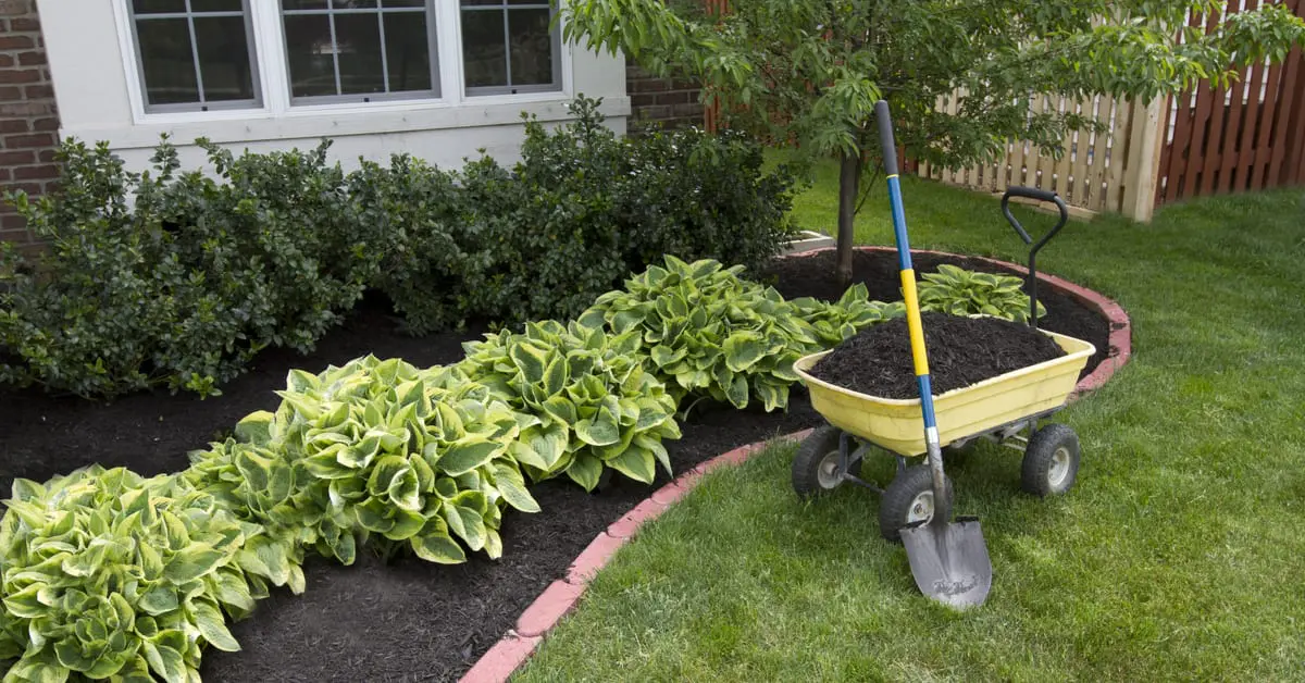 Spring Has Sprung! Here's Your Landscape Maintenance Checklist