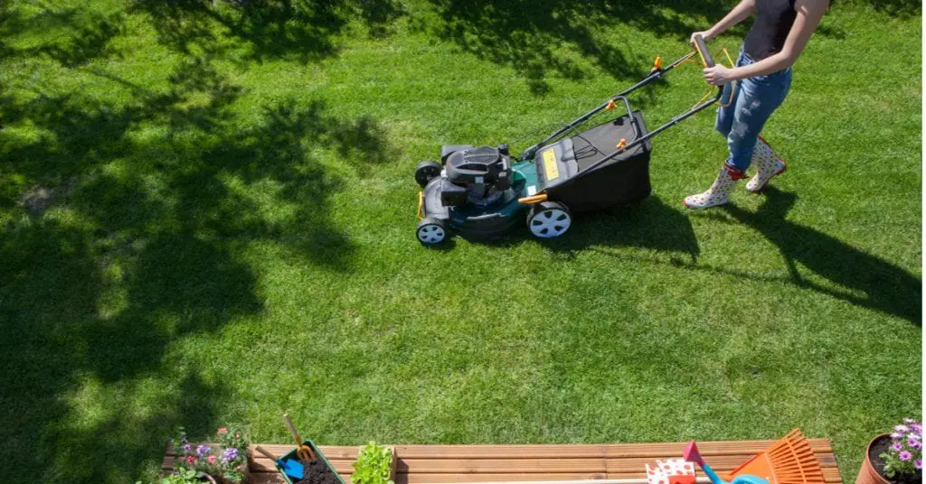 6 Benefits of Frequent Mowing and Shorter Grass