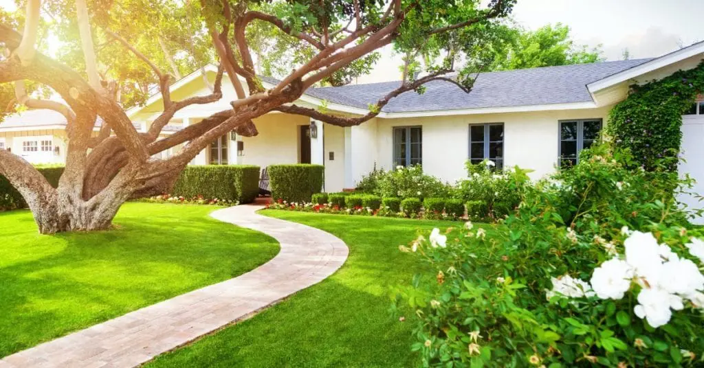 Landscape Design and Maintenance, What To Look For