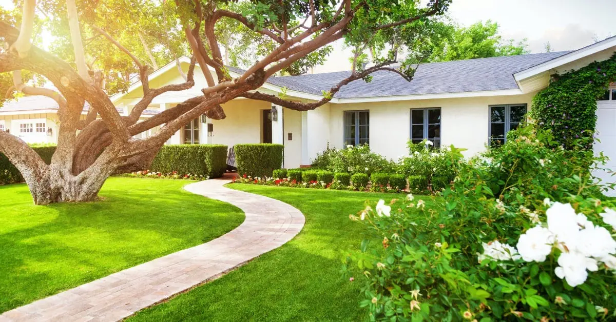 Landscape Design and Maintenance, What To Look For