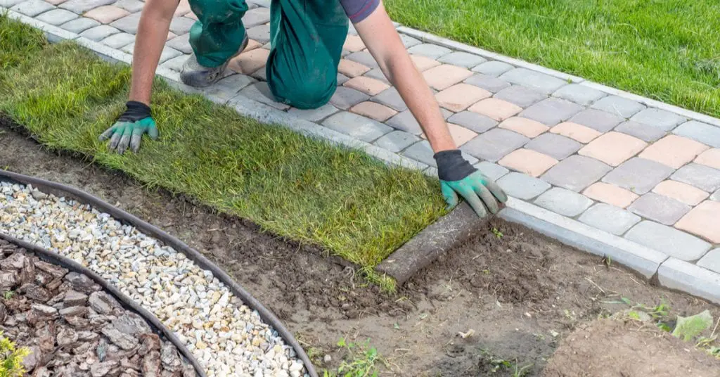 5 Tips; Sod Preparation and Installation