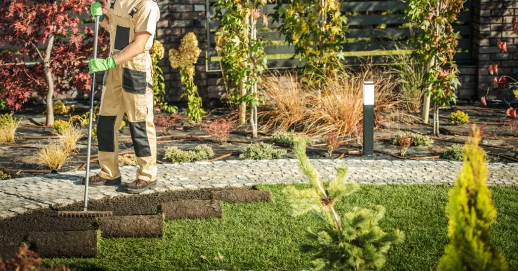 5 Tips; Sod Preparation and Installation