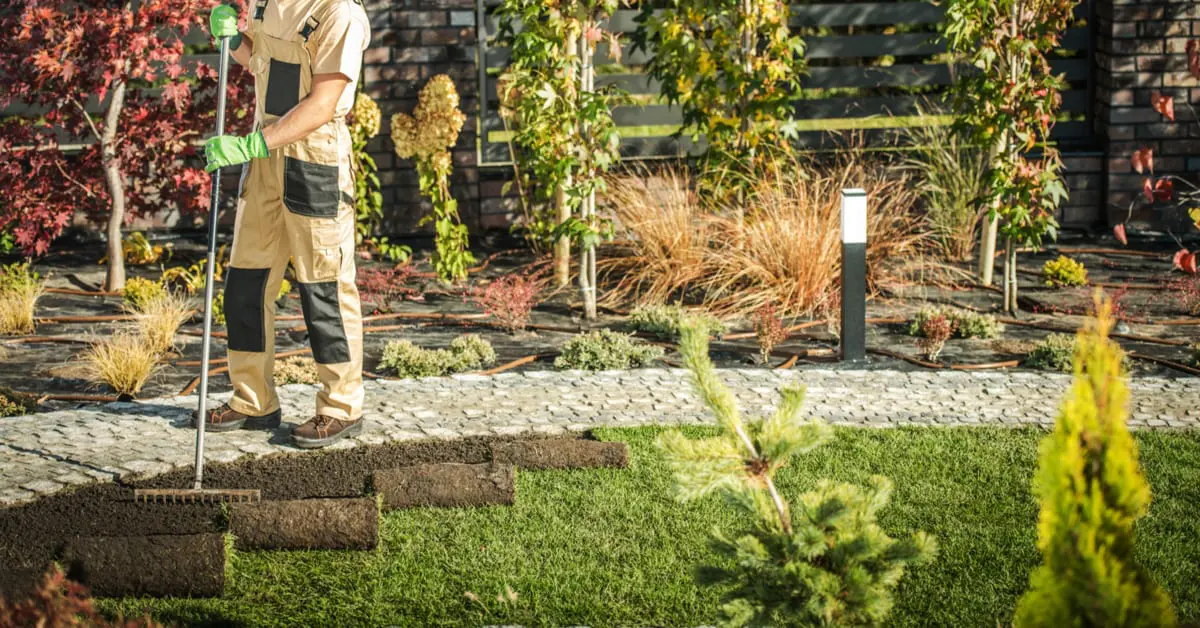 5 Tips; Sod Preparation and Installation