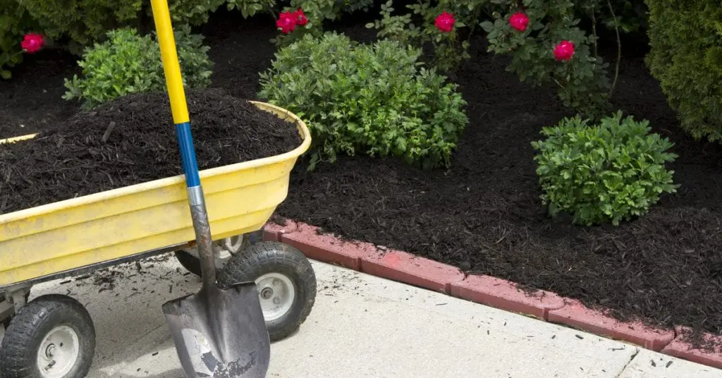 Using Wood Chips After Tree Trimming, Do's & Dont's