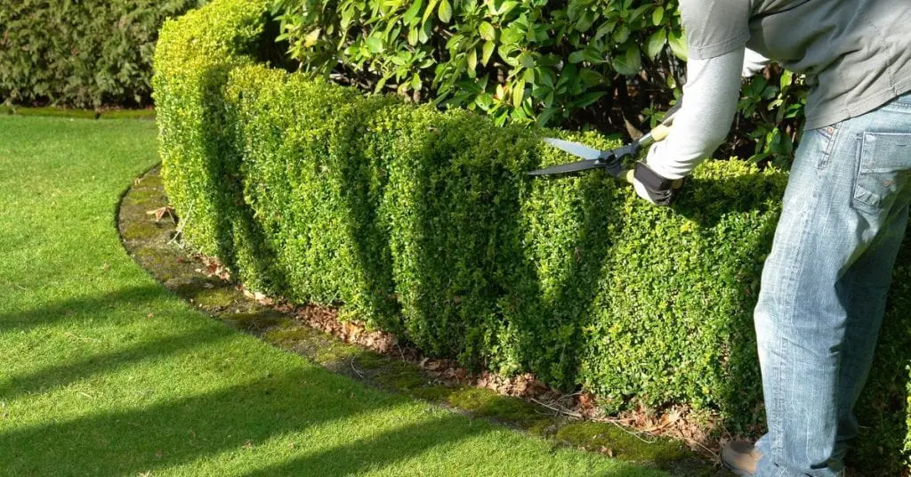 Landscaping and Masonry Mendham NJ