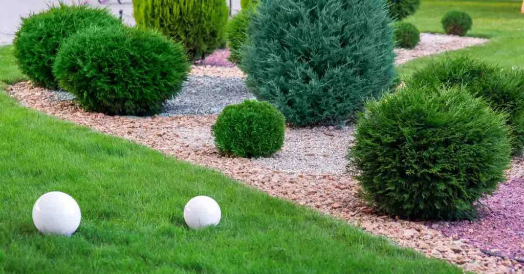 Decorative Rocks vs. Mulch vs. Soil: Pros & Cons