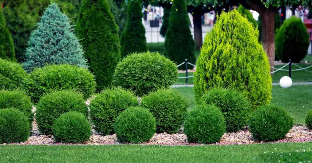Decorative Rocks vs. Mulch vs. Soil: Pros & Cons