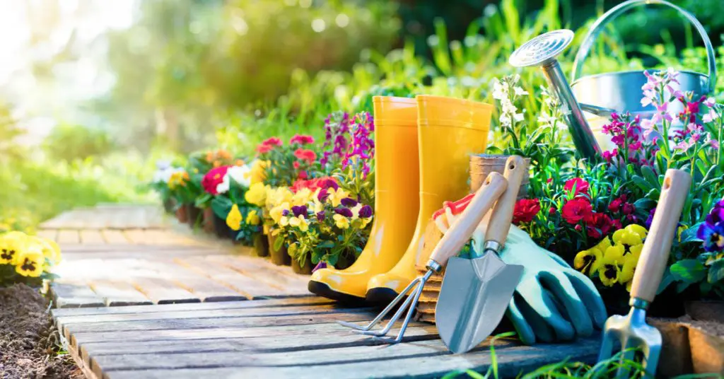 Boots and gardening materials in flowering garden, concept of 7 Best Plants To Plant In Fall For Spring Blooms