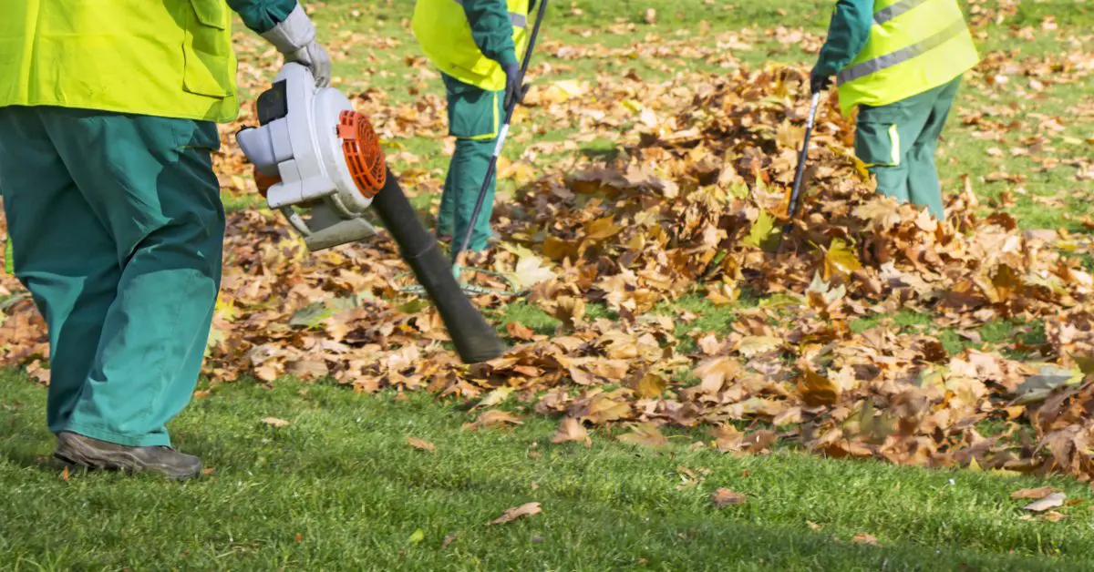 Spring and Fall Yard Clean Up Landscaping Services