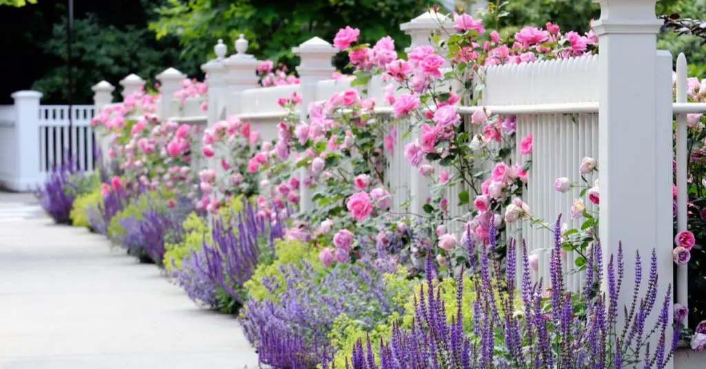 Create a Colorful Flower Bed Along Fence Line