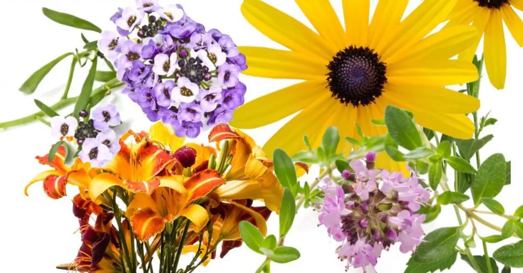 Create a Colorful Flower Bed Along Fence Line