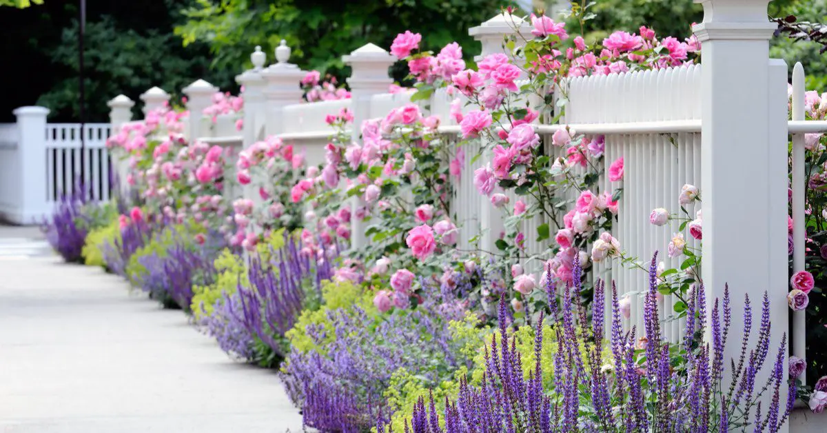 Create a Colorful Flower Bed Along Fence Line