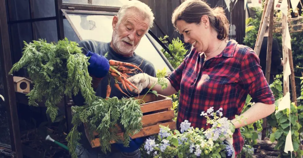 7 Money-Saving Gardening Tips, share tips with neighbors