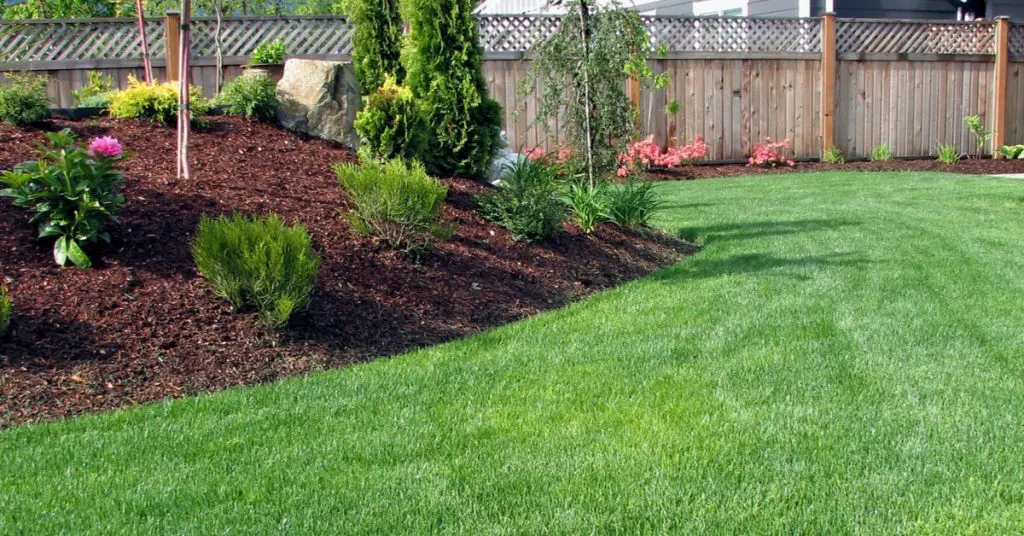 How To Apply Mulch, Tips and Tricks