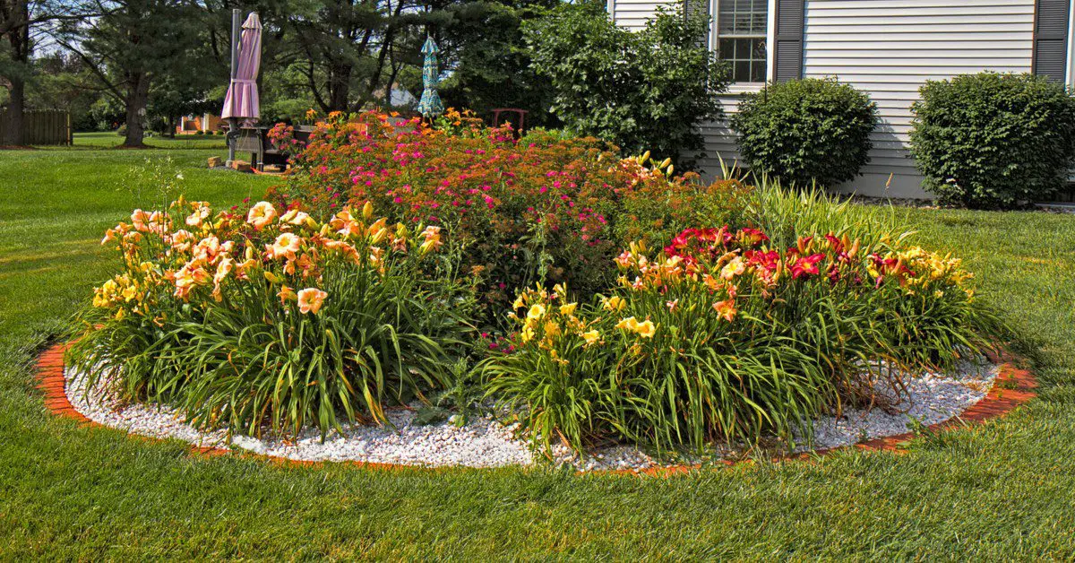 Why, When, How To Divide Perennials