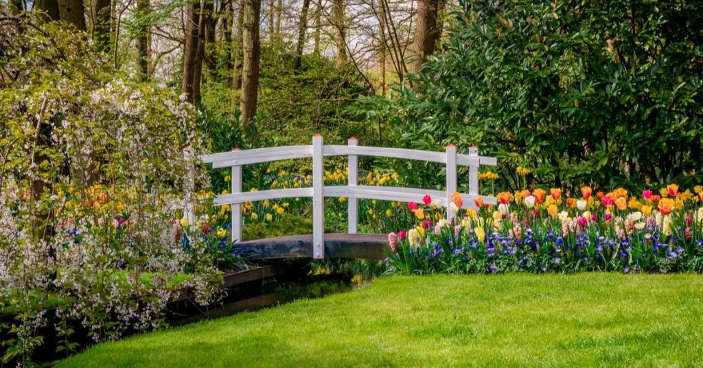 6 Creative Landscape Ideas With Flowers, create a path with flowers