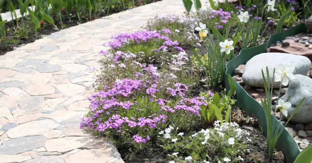 6 Creative Landscape Ideas With Flowers, align your walkway