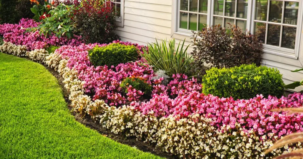 Landscape Ideas with Flowers