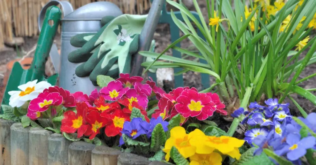 6 Creative Landscape Ideas With Flowers, edge your garden