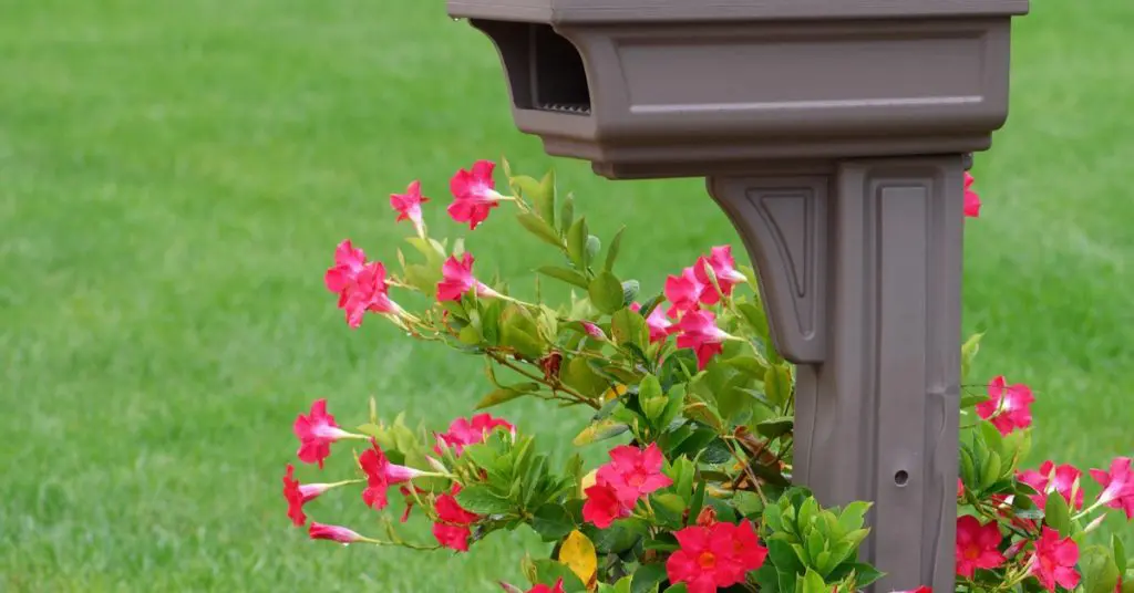 6 Creative Landscape Ideas With Flowers, surround your mailbox