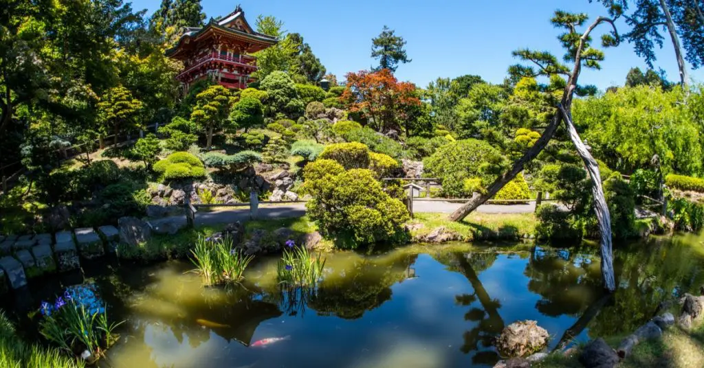 3 Japanese Garden Styles for a Large Backyard
