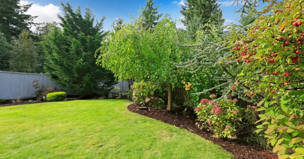 7 Benefits of Windbreaks For Outdoor Landscapes