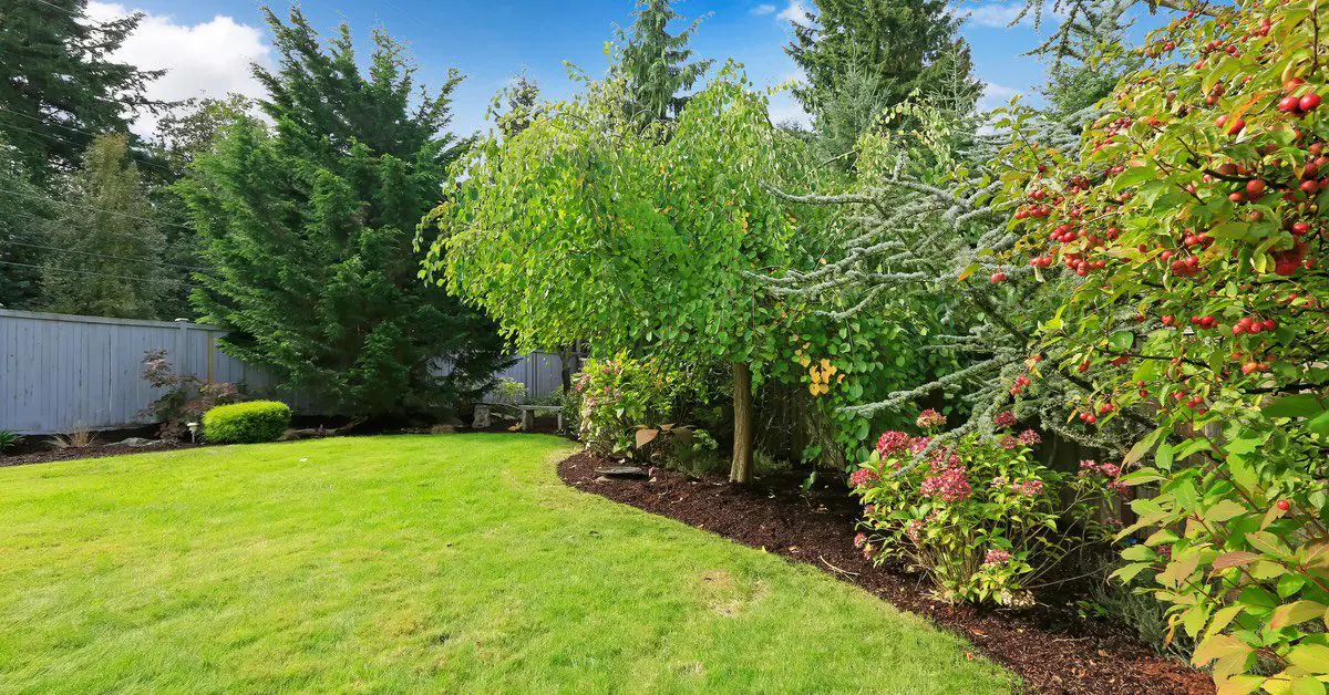 7 Benefits of Windbreaks For Outdoor Landscapes