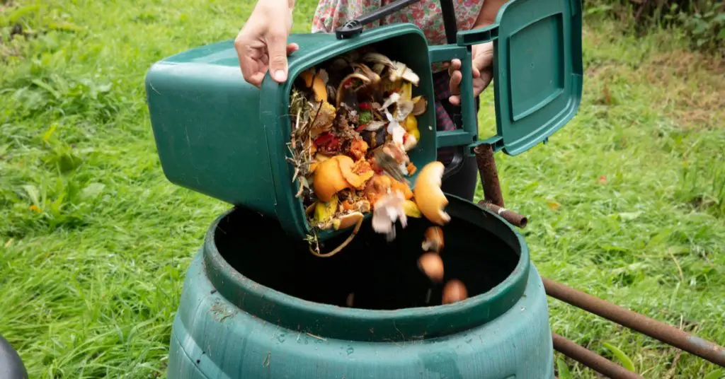 9 Reasons to Use Compost Instead of Soil in Your Garden