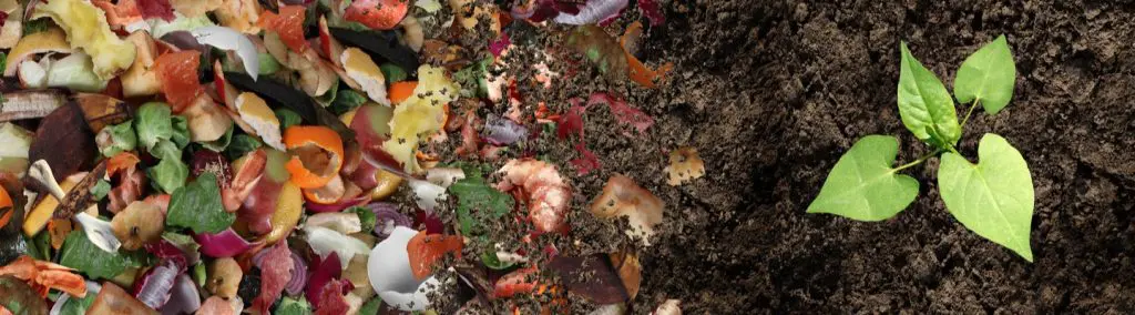 9 Reasons to Use Compost Instead of Soil in Your Garden