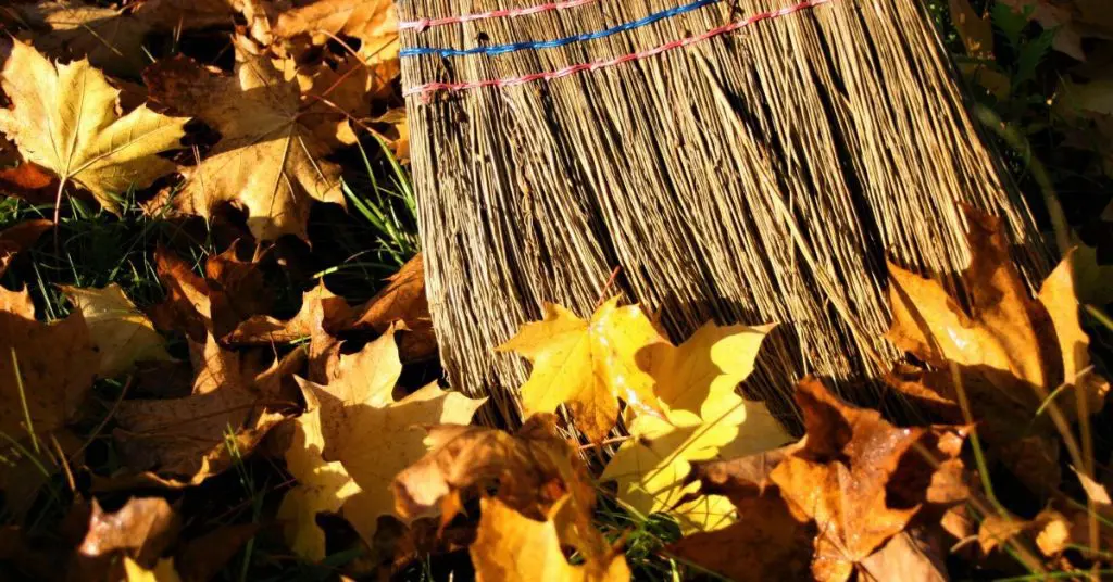 Leaf Removal Services Near Me