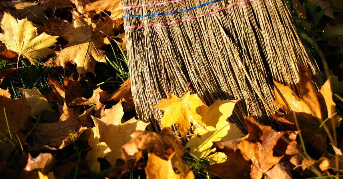 Leaf Removal Services Near Me