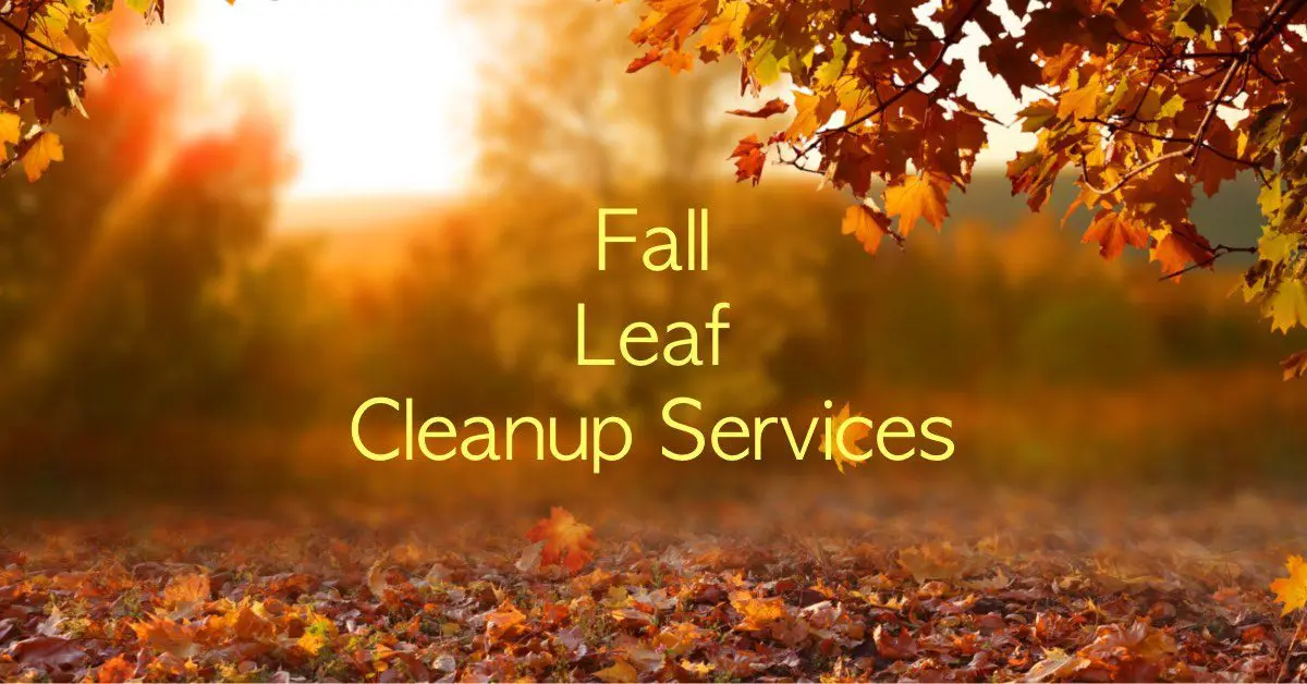 Morristown NJ Yard Leaf Cleanup Services