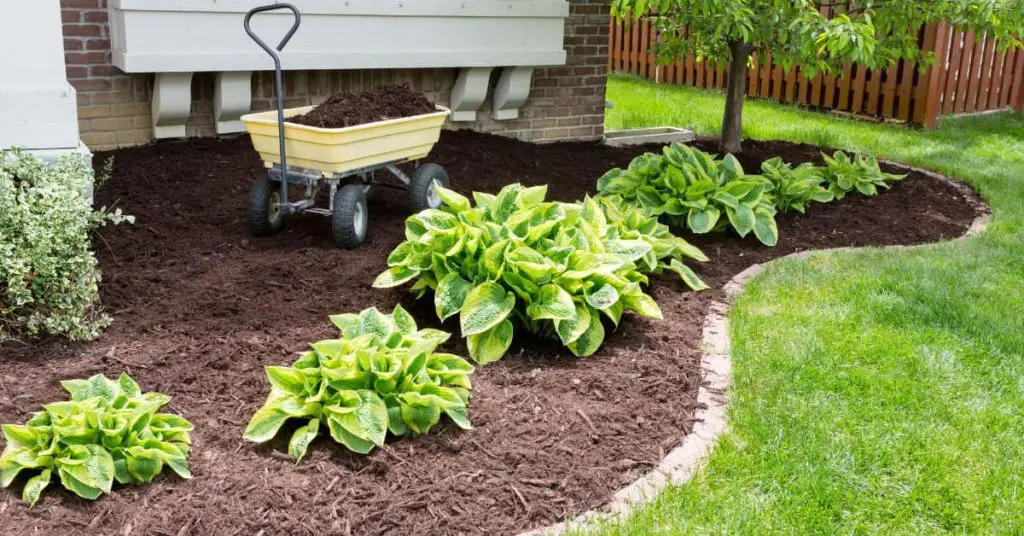 Small Job Landscapers Near Me