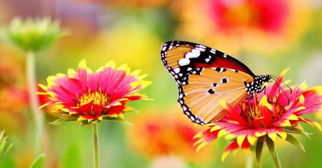 10 Spring Landscaping and Gardening tips in New Jersey