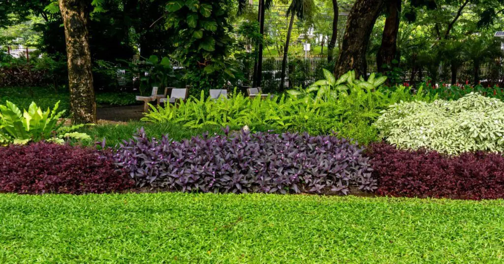 Harding NJ Landscape Maintenance Services