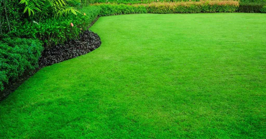 Best Tips: How To Get Your Lawn Ready For Summer