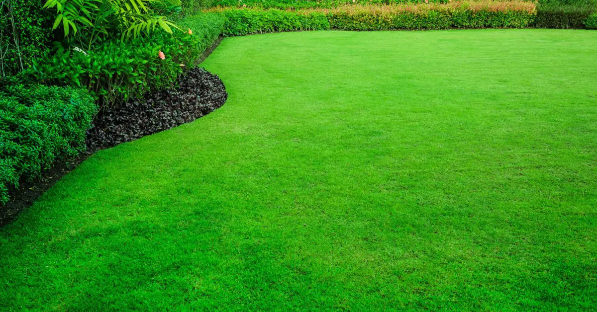 Best Tips: How To Get Your Lawn Ready For Summer
