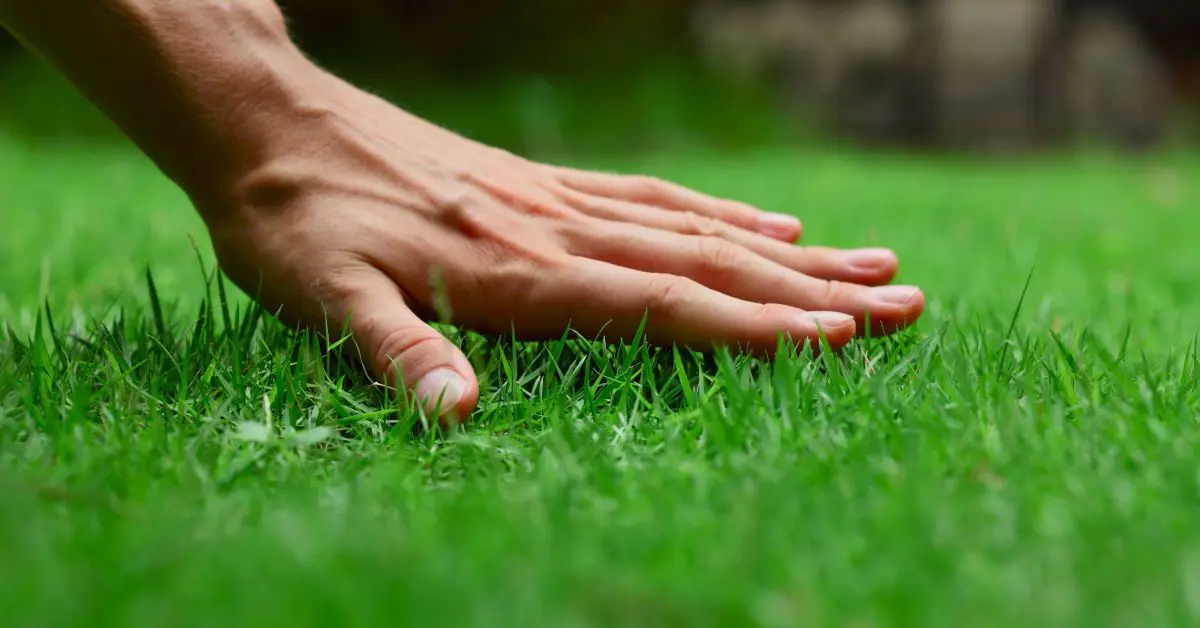 Lawn Care Services, Harding NJ