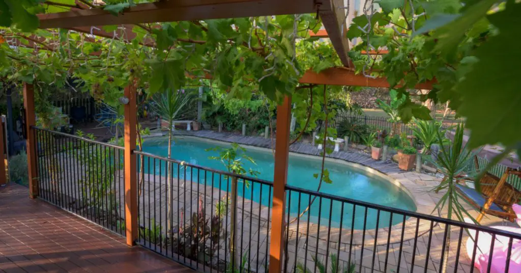 Plants That Thrive Around a Pool in NJ