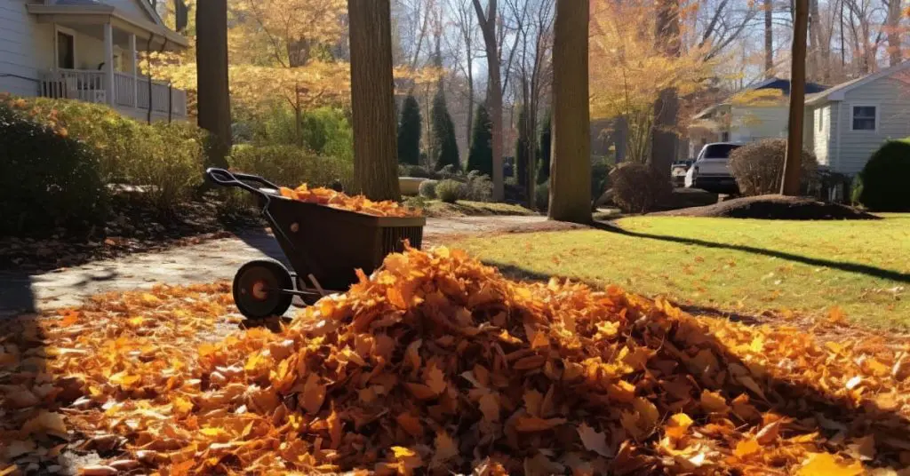 Harding Township NJ Leaf Removal & Yard Cleanup