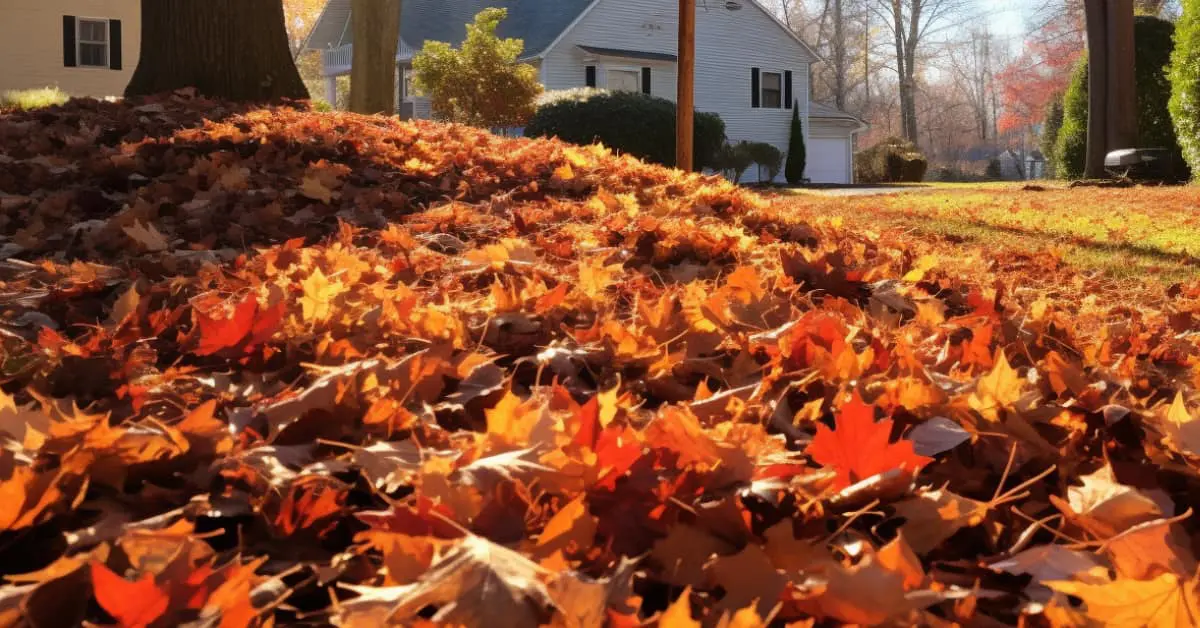 Harding Township NJ Leaf Removal & Yard Cleanup