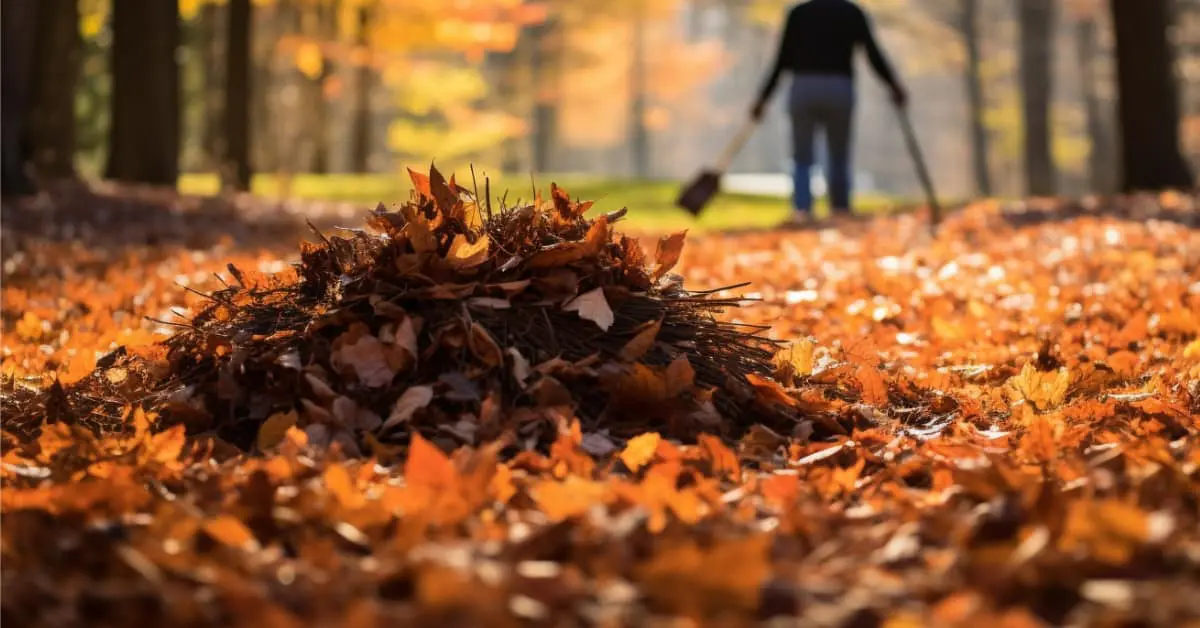 Leaf Raking & Removal Services