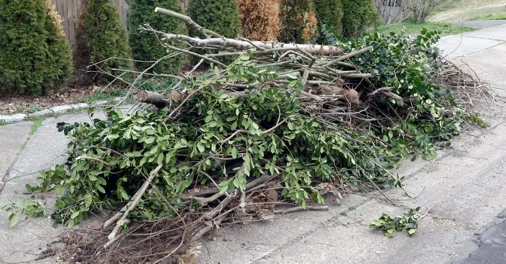 Leaf Removal & Cleanup, Bernardsville NJ