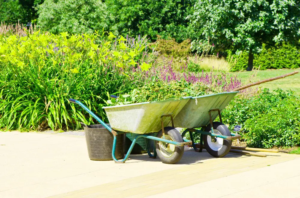 Best Time to Start Spring Yard Cleanup in NJ 2024