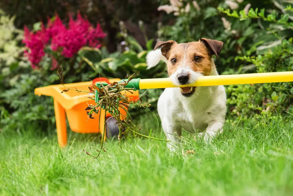 Schedule Morris County NJ Spring Yard Cleanup