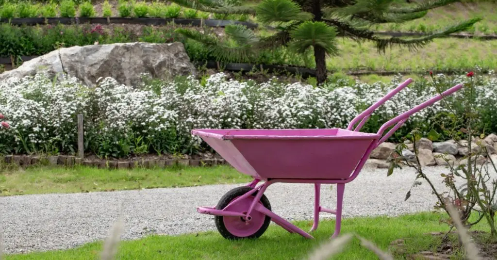 yard, flower shurbs, wheelbarrel, concept of summer preparation with fall landscaping tips to prepare for fall