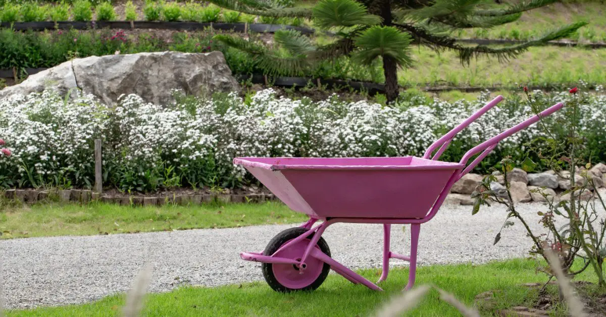 yard, flower shurbs, wheelbarrel, concept of summer preparation with fall landscaping tips to prepare for fall