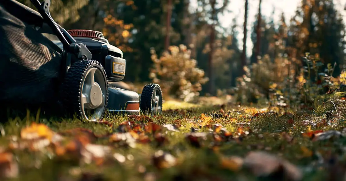 lawn mower cutting grass, leaves, concept of 1/3 Rule in Lawn Care